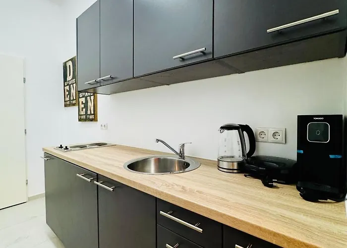 Modern For 3 Near The Danube And Millennium Viena